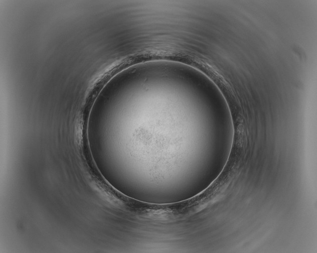 X0000113610446200909181422