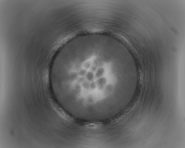 X0000113610447200909181422