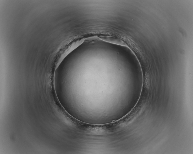 X0000113610449200909181422