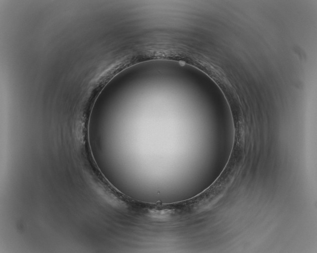 X0000113610450200909181422