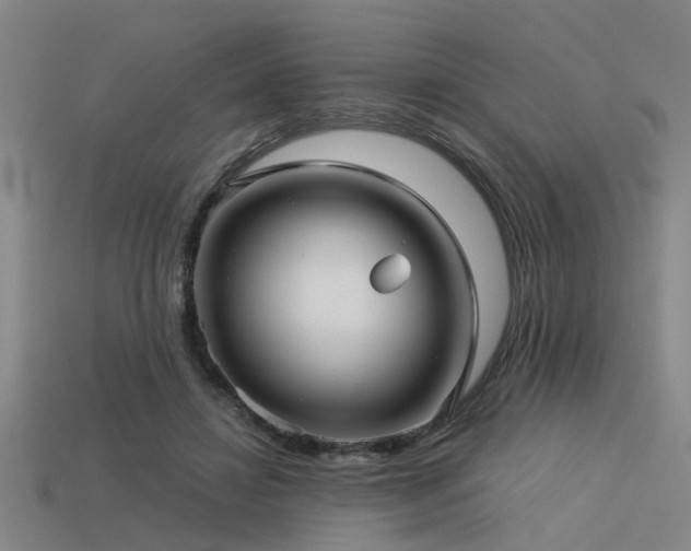 X0000113610452200909181422