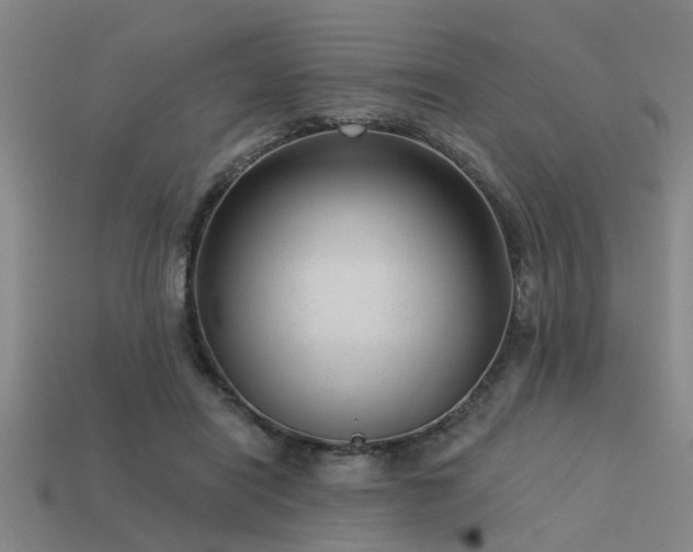 X0000113610454200909181422