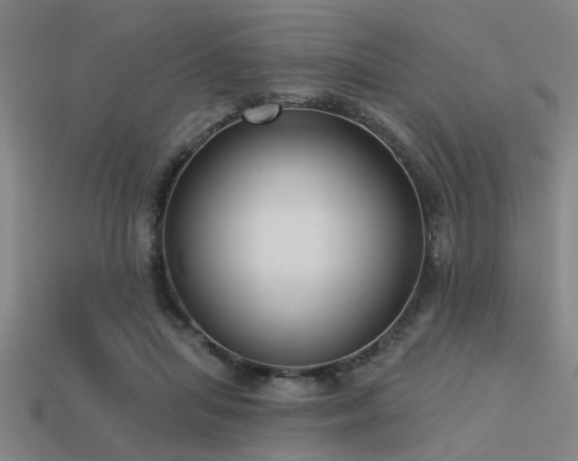 X0000113610455200909181422