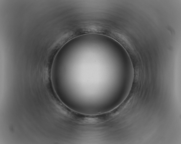 X0000113610457200909181422