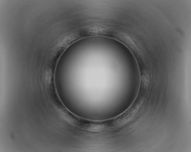 X0000113610458200909181422