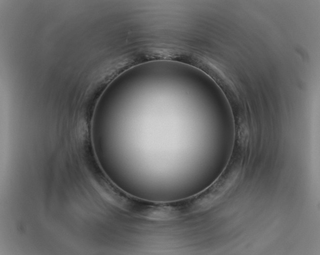 X0000113610459200909181422