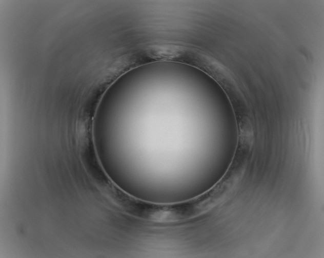 X0000113610460200909181422