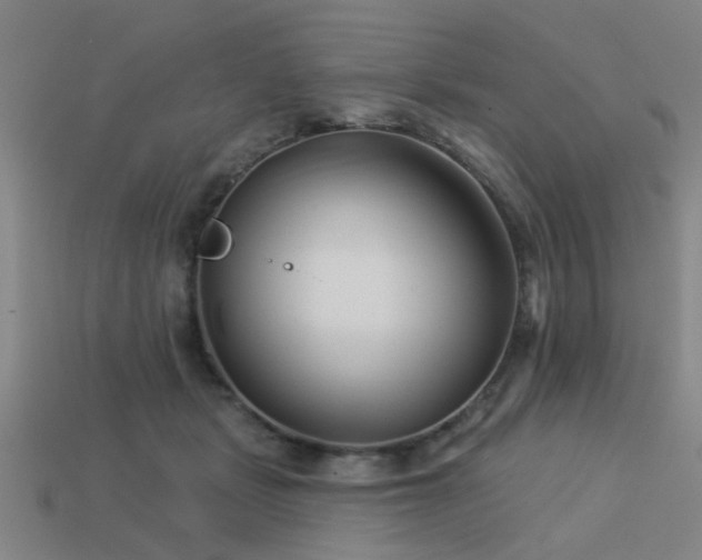 X0000113610461200909181422