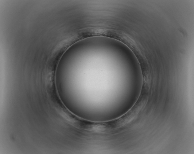 X0000113610462200909181422