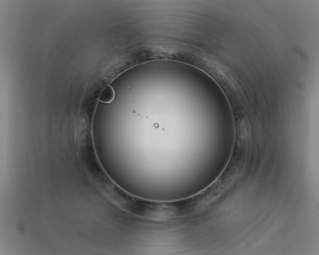 X0000113610463200909181422