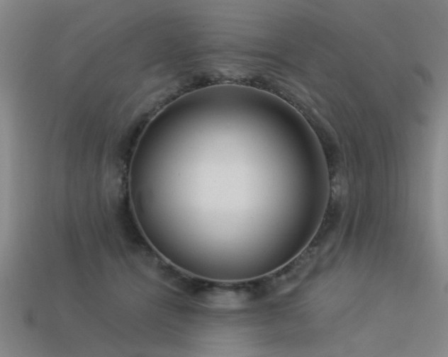 X0000113610464200909181422