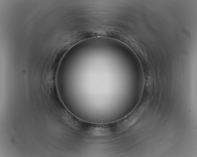 X0000113610466200909181422