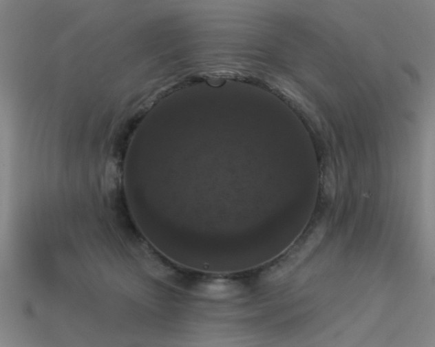 X0000113610467200909181422