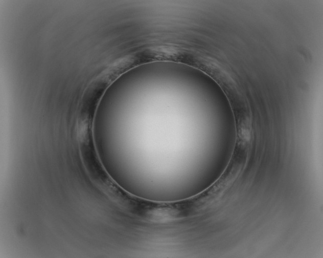 X0000113610468200909181422