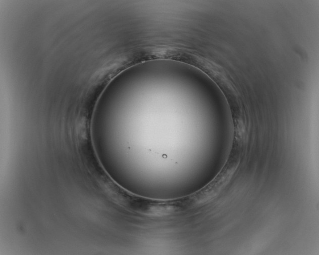 X0000113610470200909181422