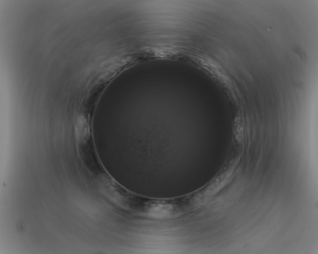 X0000113610471200909181422