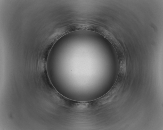 X0000113610474200909181422