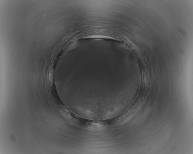 X0000113610475200909181422