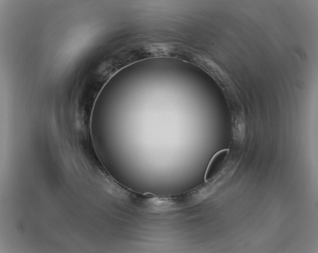 X0000113610477200909181422