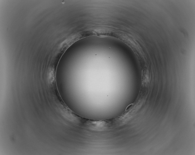 X0000113610478200909181422