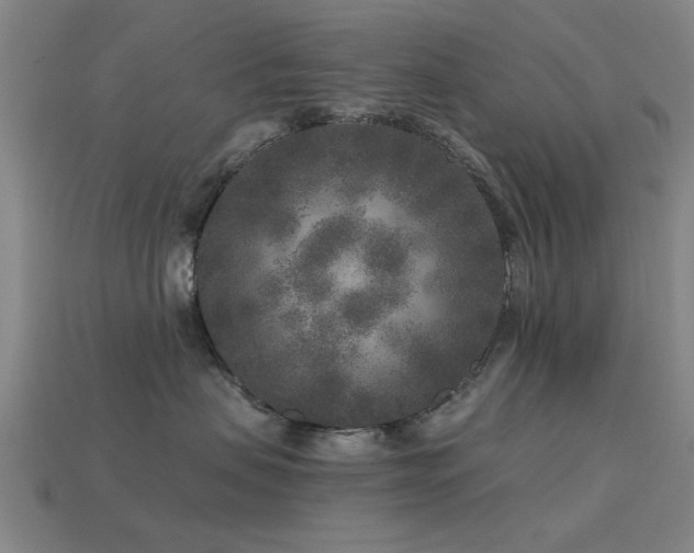 X0000113610479200909181422