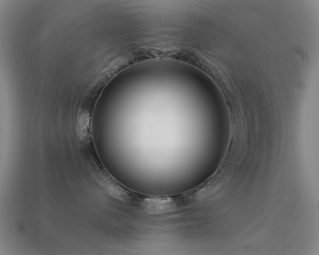 X0000113610480200909181422