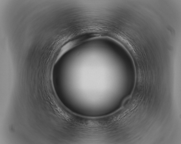 X0000113610481200909181422