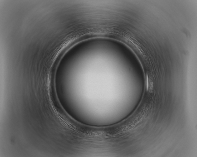 X0000113610483200909181422