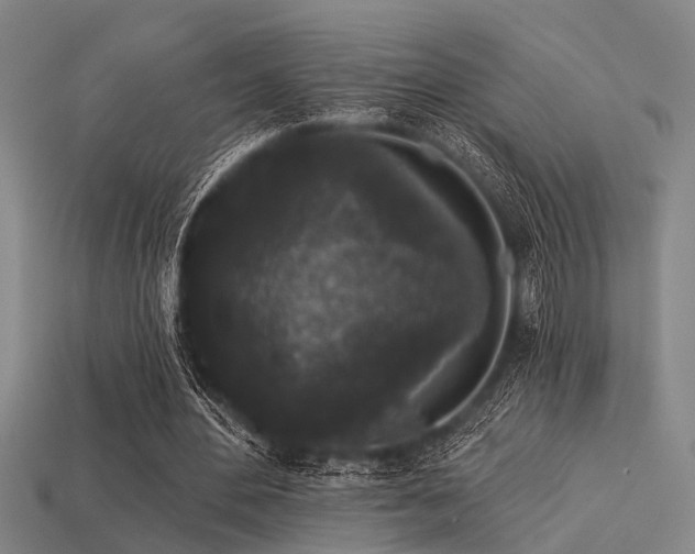 X0000113610484200909181422