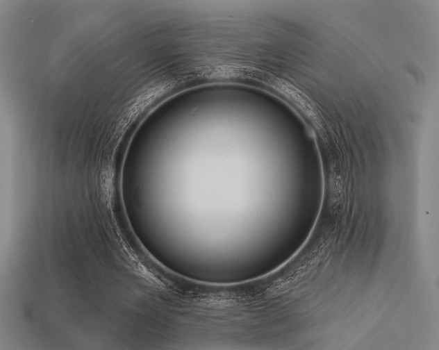 X0000113610485200909181422