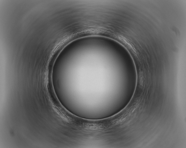 X0000113610486200909181422