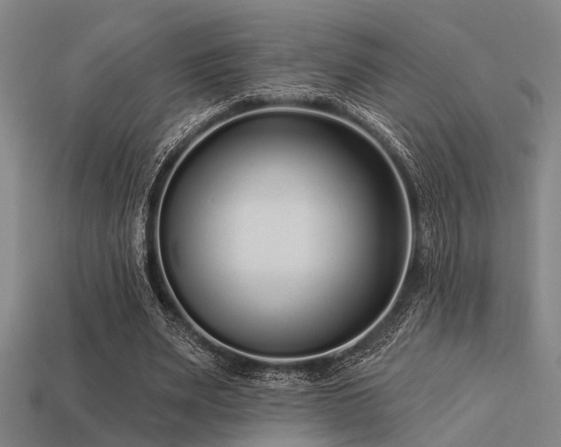 X0000113610487200909181422