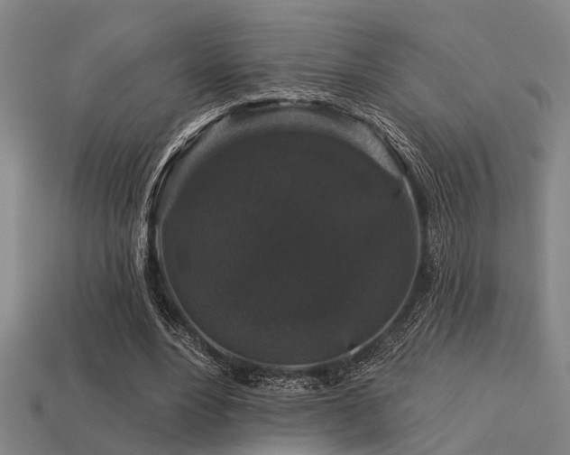 X0000113610488200909181422