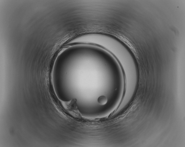 X0000113610489200909181422