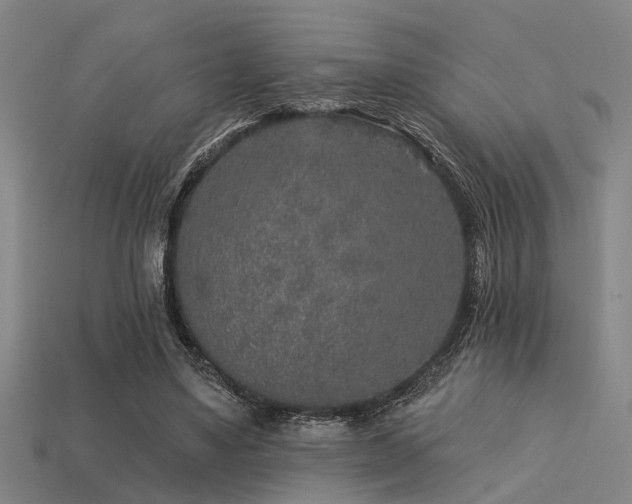 X0000113610491200909181422