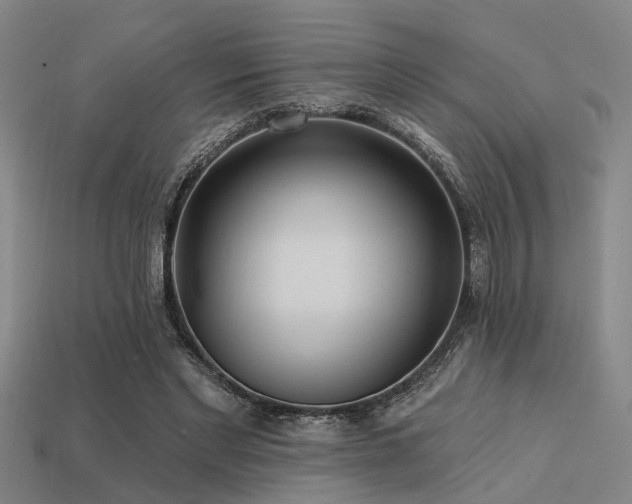 X0000113610493200909181422