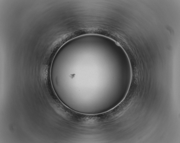 X0000113610495200909181422