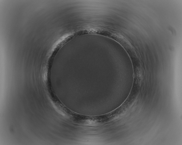 X0000113610496200909181422