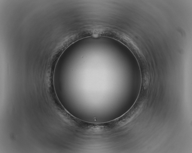 X0000113610497200909181422