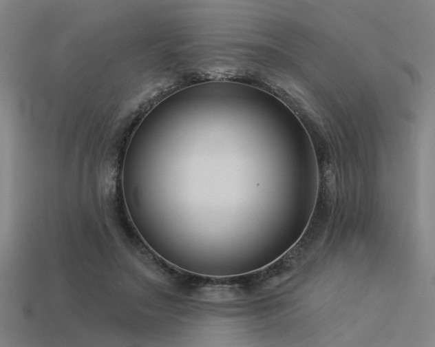 X0000113610499200909181422