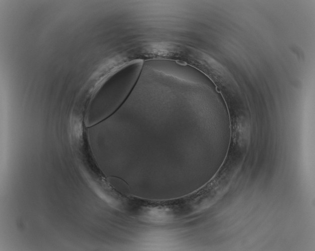 X0000113610500200909181422