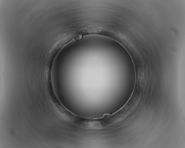 X0000113610501200909181422