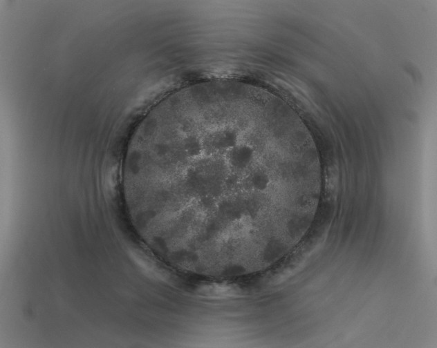 X0000113610503200909181422