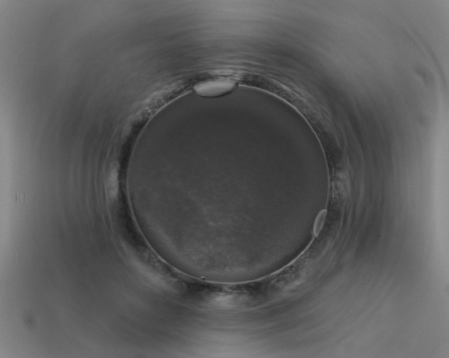 X0000113610504200909181422