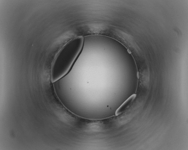 X0000113610505200909181422