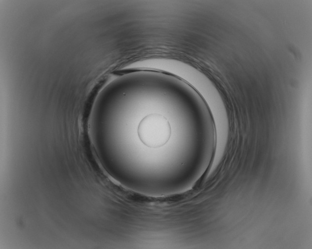 X0000113610508200909181422