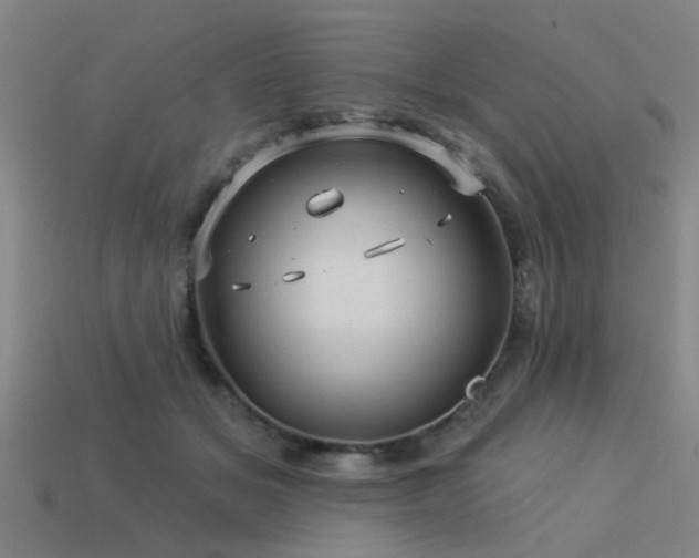 X0000113610509200909181421