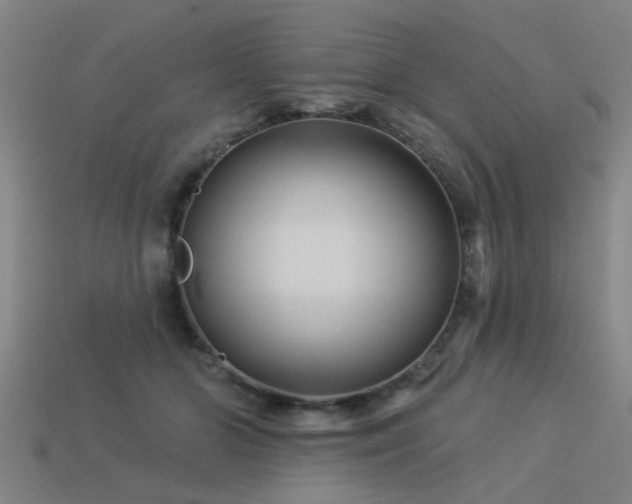 X0000113610510200909181421