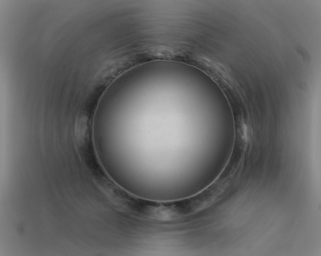 X0000113610511200909181421