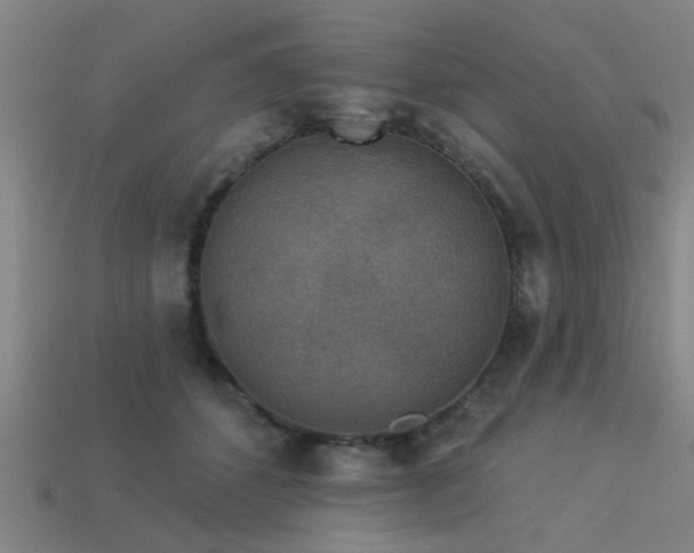 X0000113610512200909181421